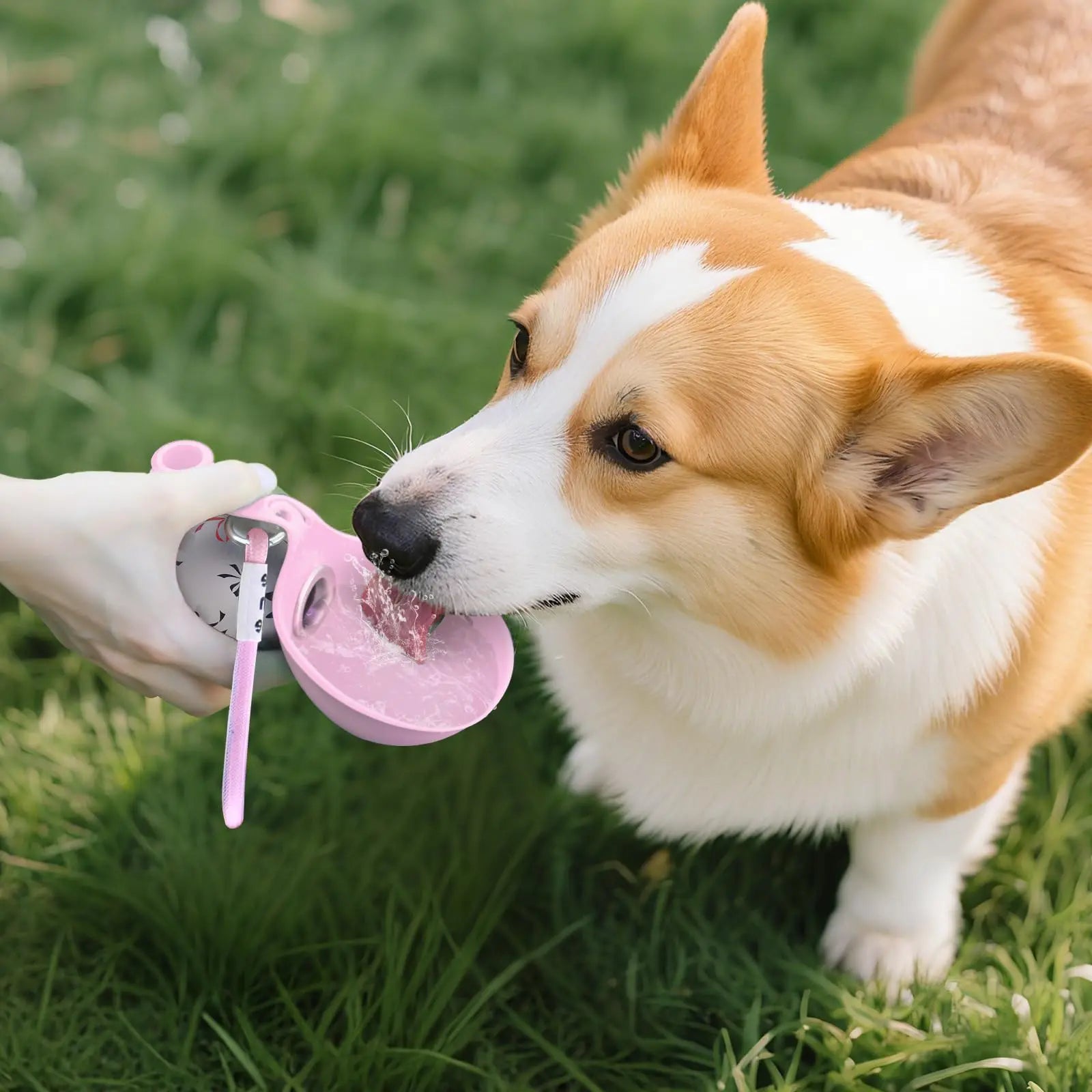 2-in-1 Portable Dog Water Bottle – Leak-Proof Travel Hydration Bottle for Small Dogs