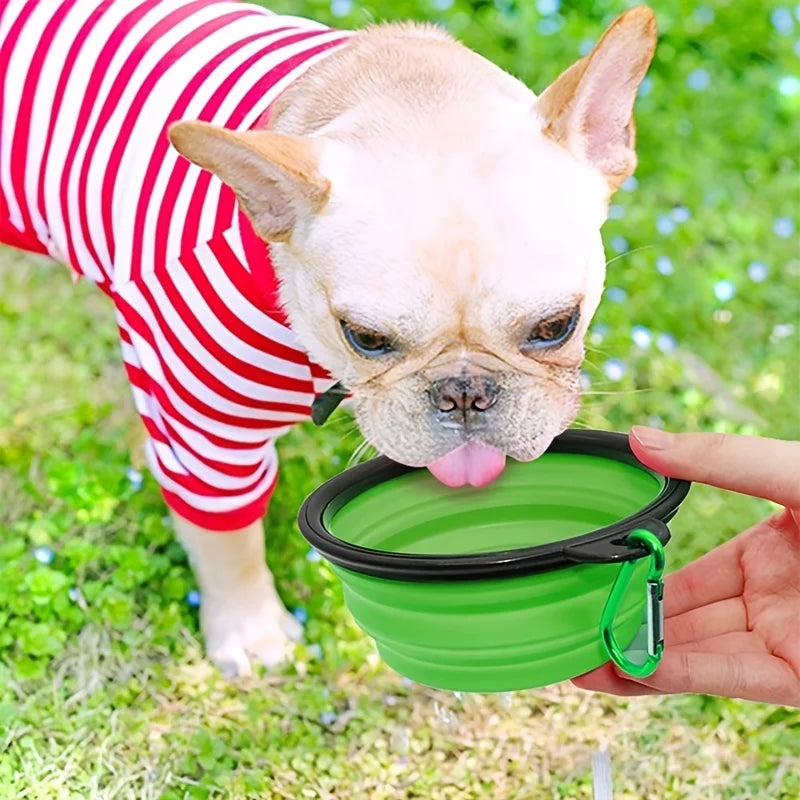 Collapsible Travel Pet Bowl for Dogs & Cats