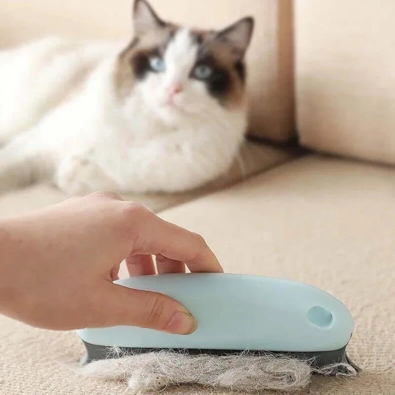 Pet Hair Remover Brush for Home & Furniture