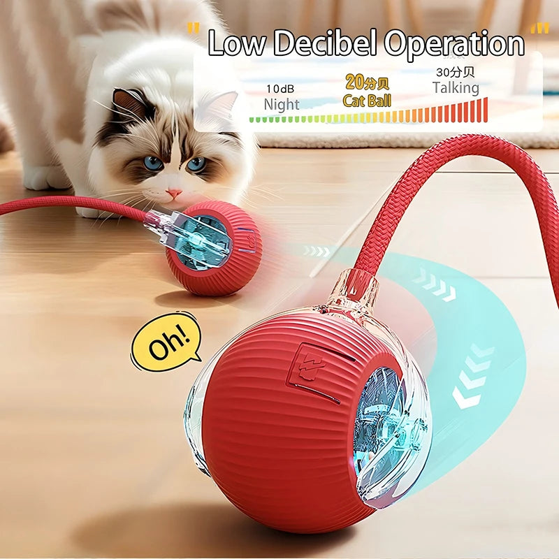 Rechargeable Interactive Pet Ball with Flexible Tail