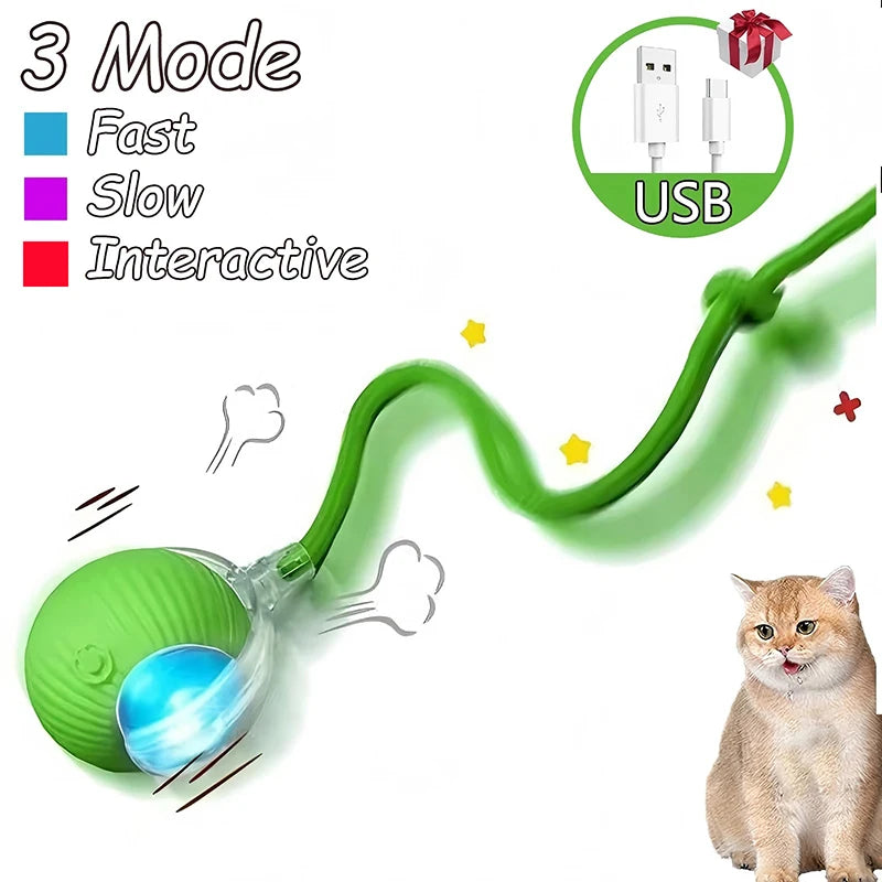 Rechargeable Interactive Pet Ball with Flexible Tail