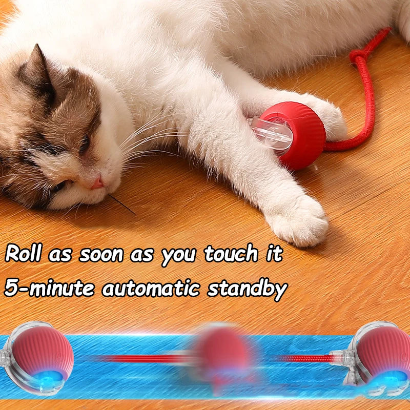 Rechargeable Interactive Pet Ball with Flexible Tail