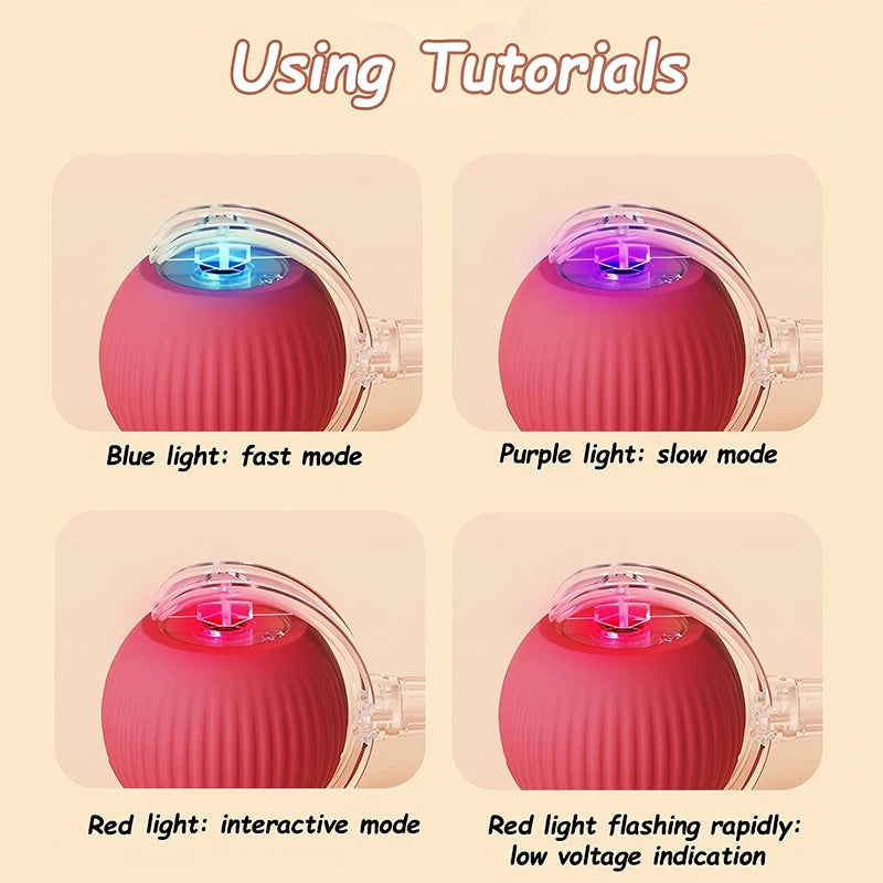 Rechargeable Interactive Pet Ball with Flexible Tail
