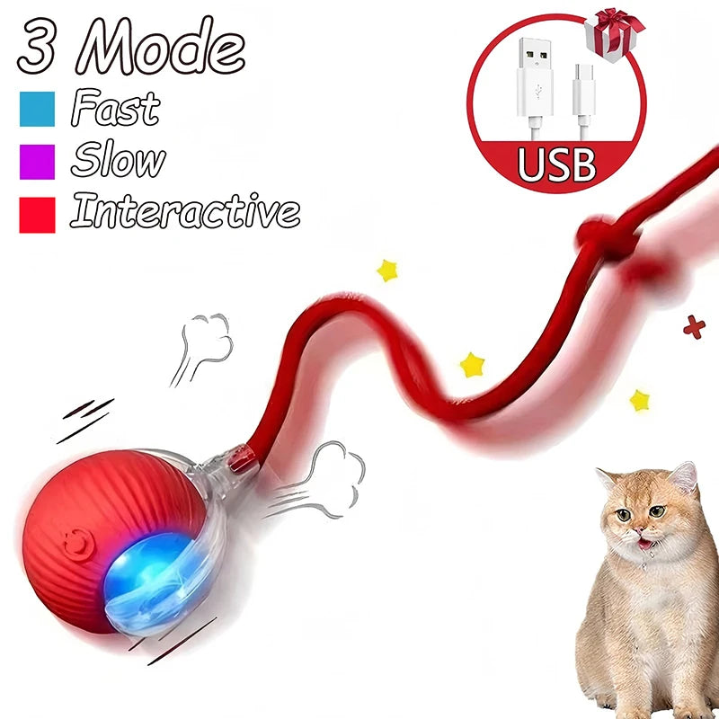 Rechargeable Interactive Pet Ball with Flexible Tail