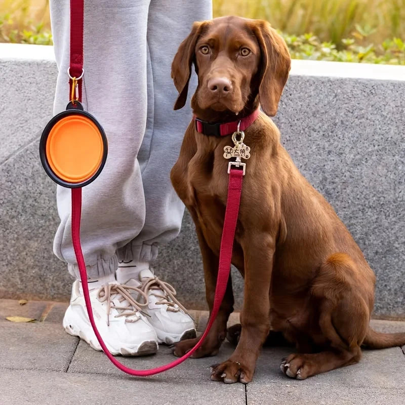 Collapsible Travel Pet Bowl for Dogs & Cats