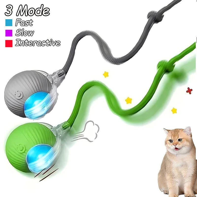 Rechargeable Interactive Pet Ball with Flexible Tail