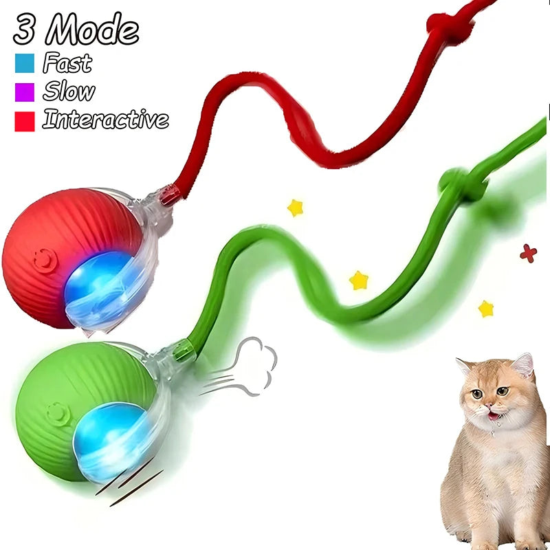 Rechargeable Interactive Pet Ball with Flexible Tail