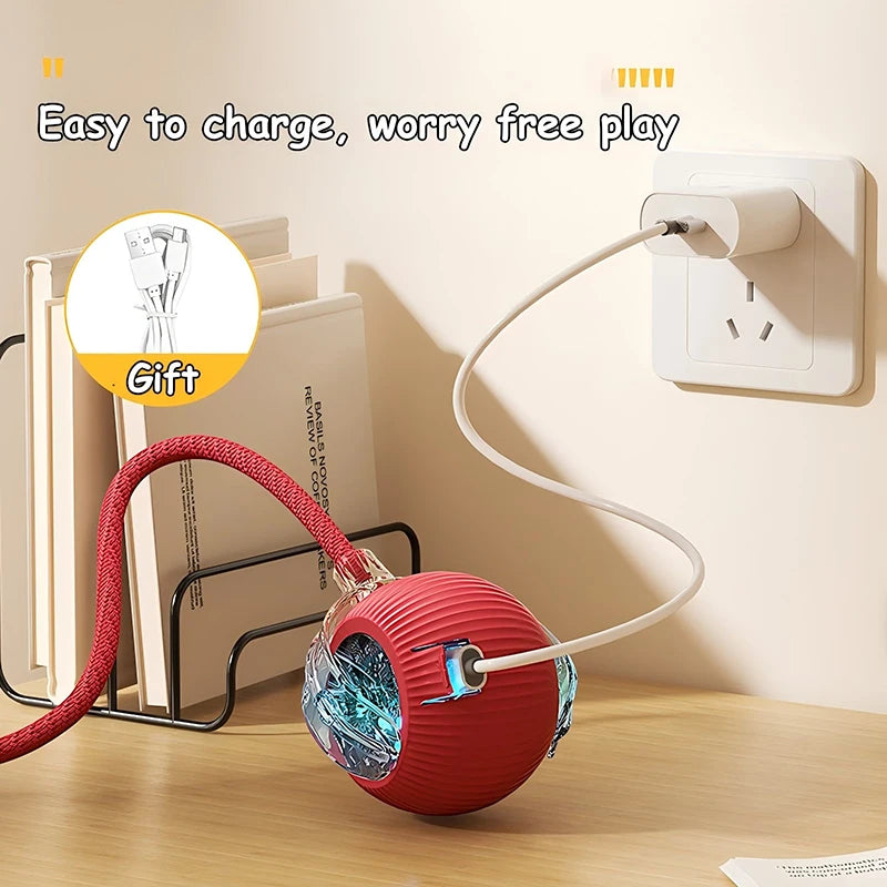 Rechargeable Interactive Pet Ball with Flexible Tail