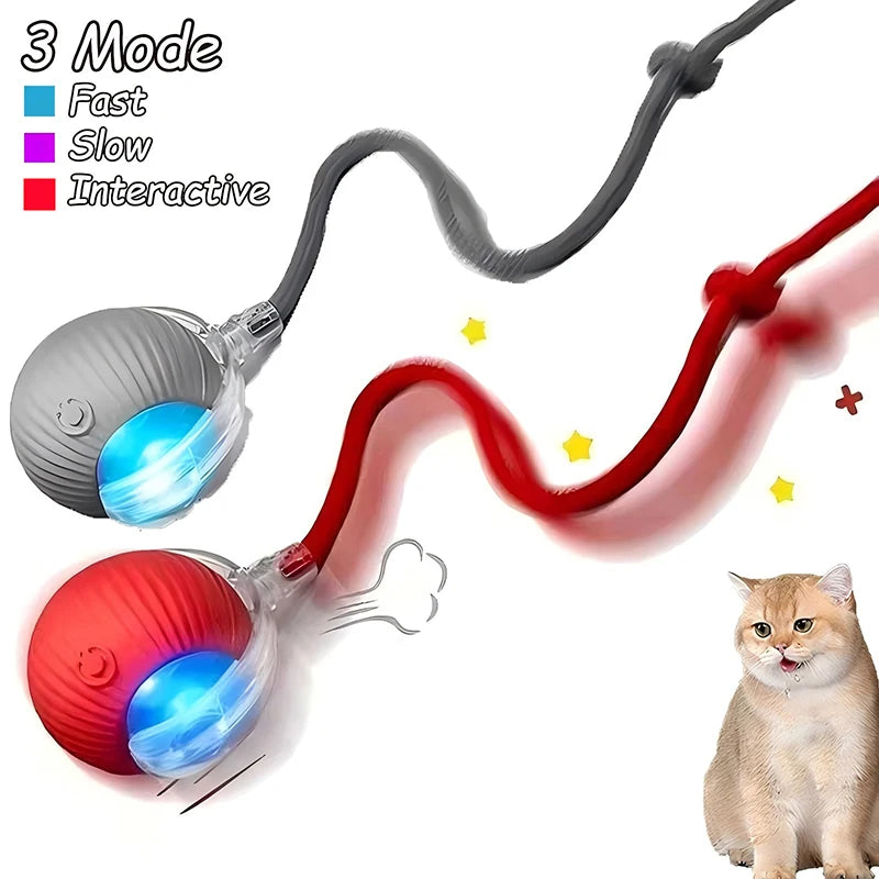 Rechargeable Interactive Pet Ball with Flexible Tail