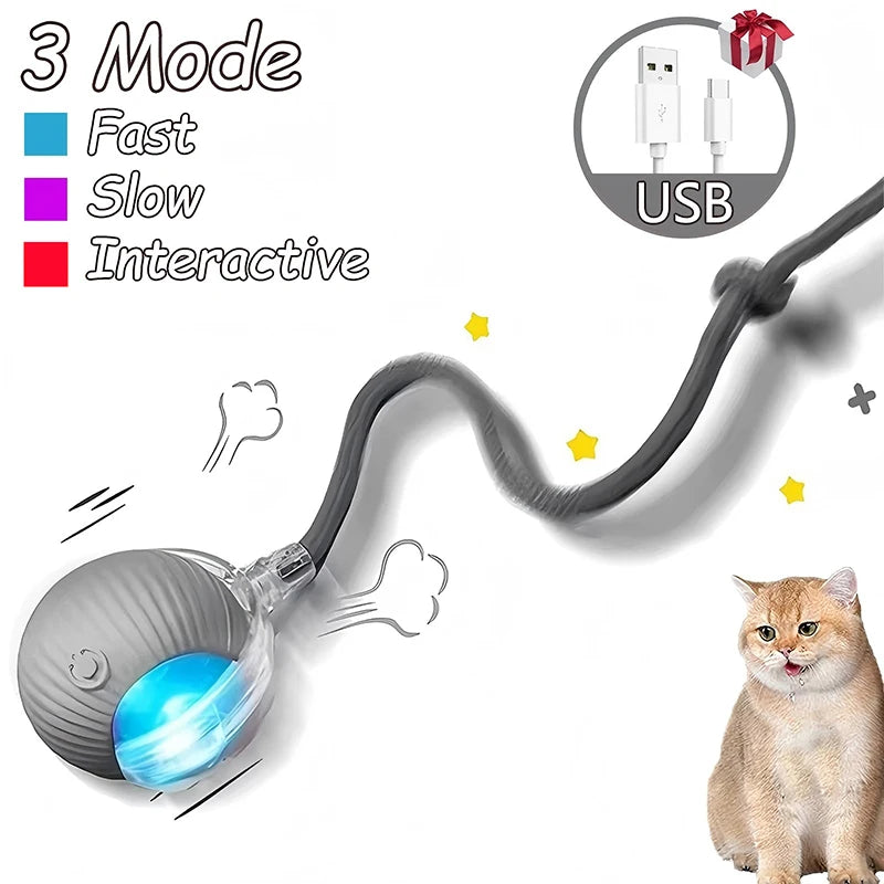 Rechargeable Interactive Pet Ball with Flexible Tail