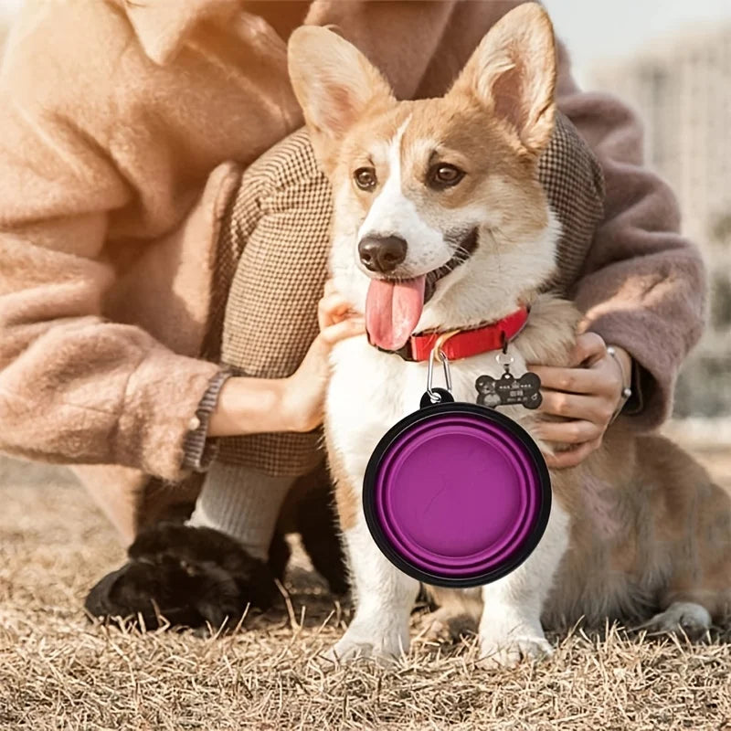 Collapsible Travel Pet Bowl for Dogs & Cats